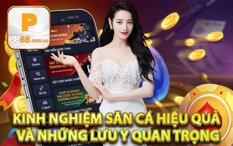 Kinh nghiệm săn cá hiệu quả và những lưu ý quan trọng